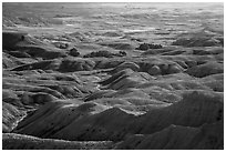 Buttes and grassy areas in Badlands Wilderness. Badlands National Park, South Dakota, USA. (black and white)