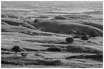 Rolling hills, Badlands Wilderness. Badlands National Park, South Dakota, USA. (black and white)