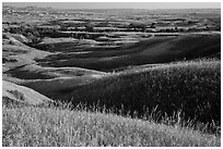 Grassy hills in early summer, Badlands Wilderness. Badlands National Park, South Dakota, USA. (black and white)