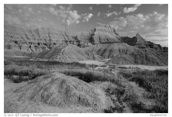 Grasses, cracked soil, and sharp peaks at dawn. Badlands National Park (black and white)