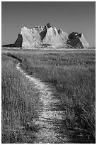 Trail winding in prairie next to butte. Badlands National Park, South Dakota, USA. (black and white)