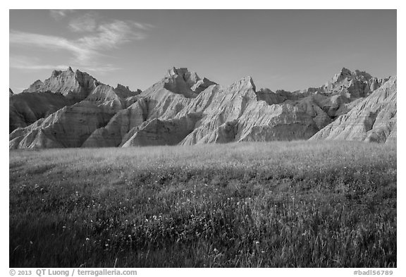 Grasses with summer flowers and buttes at sunset. Badlands National Park, South Dakota, USA.