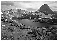 Hidden lake and peak. Glacier National Park ( black and white)