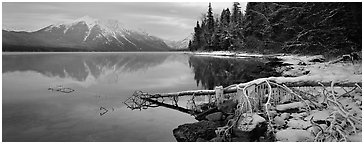 Lake, snowy shore, and mountains in winter. Glacier National Park (Panoramic black and white)