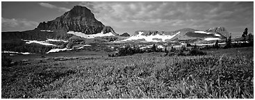 Alpine landscape with wildflower meadows and peak. Glacier National Park (Panoramic black and white)