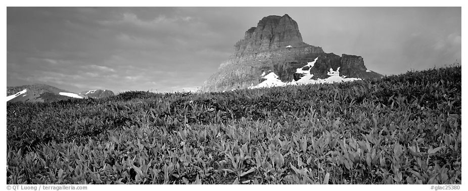 Alpine scenery with triangular peak rising above meadows. Glacier National Park (black and white)