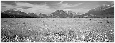 Prairie and mountains. Glacier National Park (Panoramic black and white)
