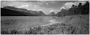 Mountain lake with wildflowers on shore. Glacier National Park (Panoramic black and white)
