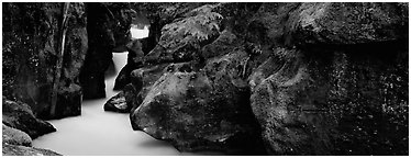 Lush gorge with frosted water. Glacier National Park (Panoramic black and white)