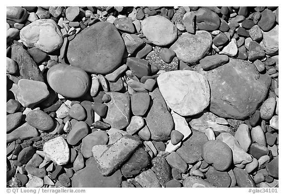 Colorful pebbles in a stream. Glacier National Park (black and white)