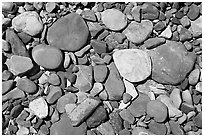 Colorful pebbles in a stream. Glacier National Park, Montana, USA. (black and white)