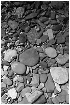 Colorful pebbles and shadow. Glacier National Park ( black and white)