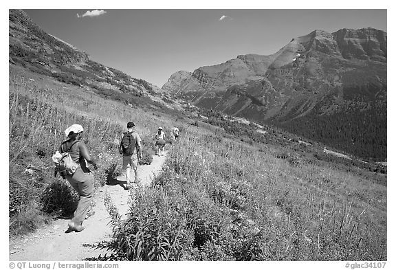 Group hiking on the Grinnell Glacier trail. Glacier National Park (black and white)