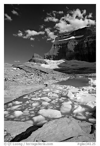 Icebergs in Upper Grinnel Lake, with glacier and Mt Gould in background. Glacier National Park (black and white)
