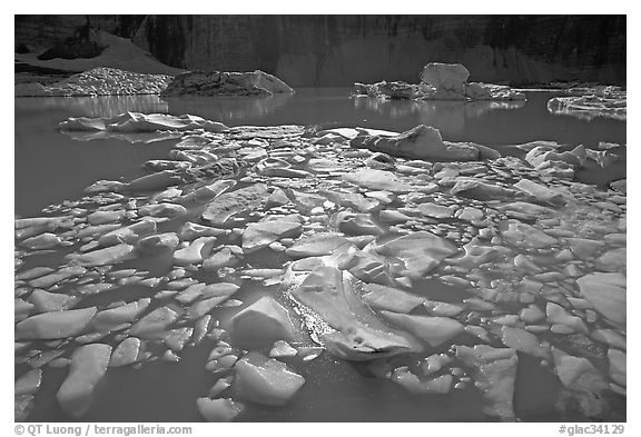Icebergs in Upper Grinnell Lake. Glacier National Park (black and white)
