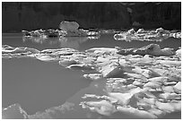 Icebergs and reflections in Upper Grinnell Lake. Glacier National Park ( black and white)