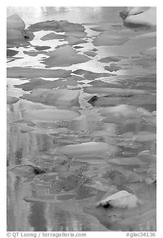Blue icebergs floating on reflections of rock wall, late afternoon. Glacier National Park (black and white)