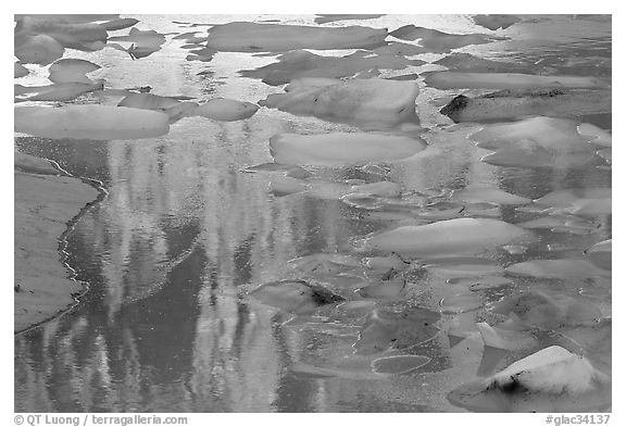 Blue icebergs floating on reflections of rock wall, Upper Grinnel Lake, late afternoon. Glacier National Park (black and white)