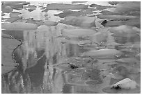 Blue icebergs floating on reflections of rock wall, Upper Grinnel Lake, late afternoon. Glacier National Park ( black and white)