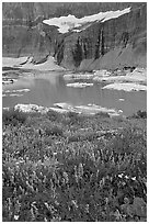 Wildflowers, Upper Grinnell Lake, and Salamander Falls and Glacier. Glacier National Park ( black and white)