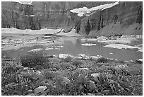 Wildflowers, Upper Grinnell Lake, Salamander Falls and Glacier. Glacier National Park, Montana, USA. (black and white)