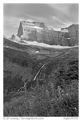 Wildflowers, Grinnell Falls, Mt Gould, and Garden Wall, sunset. Glacier National Park (black and white)