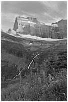 Wildflowers, Grinnell Falls, Mt Gould, and Garden Wall, sunset. Glacier National Park, Montana, USA. (black and white)