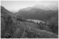 Alpine wildflowers, Grinnell Lake, and Allen Mountain, sunset. Glacier National Park ( black and white)
