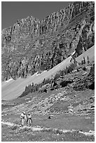 Couple hiking on trail amongst wildflowers near Hidden Lake. Glacier National Park ( black and white)