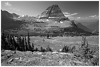 Meadows with alpine wildflowers, Hidden Lake and Bearhat Mountain behind. Glacier National Park ( black and white)