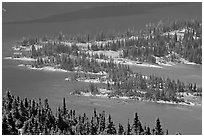 Conifers and Hidden Lake. Glacier National Park, Montana, USA. (black and white)