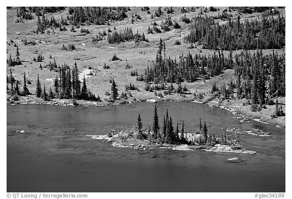 Islet on Hidden Lake. Glacier National Park (black and white)