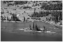 Islet on Hidden Lake. Glacier National Park ( black and white)