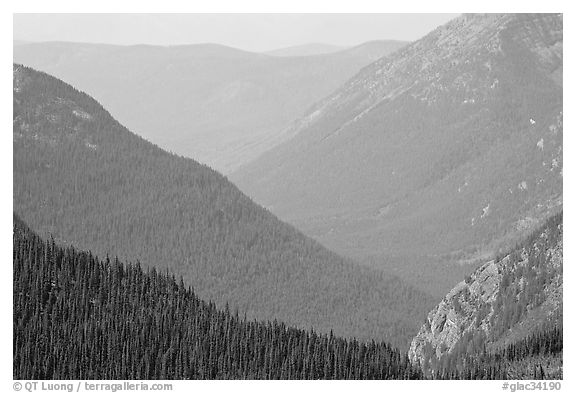 Forested Ridges seen from Hidden Lake Pass. Glacier National Park (black and white)
