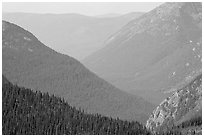 Forested Ridges seen from Hidden Lake Pass. Glacier National Park ( black and white)