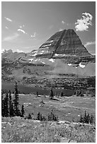 Alpine Meadows with wildflowers, Hidden Lake and Bearhat Mountain behind. Glacier National Park ( black and white)