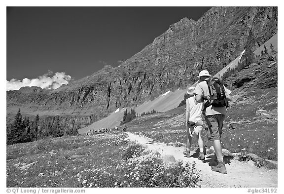 Hikers on trail amongst wildflowers near Hidden Lake. Glacier National Park (black and white)