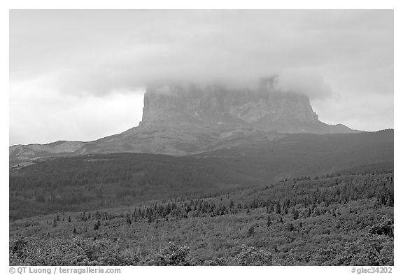 Chief Mountain, with top in the clouds. Glacier National Park (black and white)