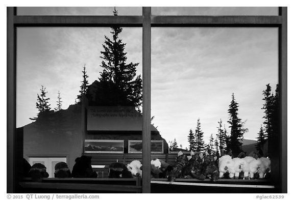 Firs and peak, Logan Pass visitor center window reflexion. Glacier National Park (black and white)