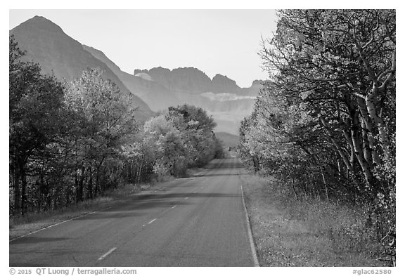 Road in autumn, Many Glacier. Glacier National Park (black and white)