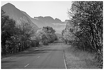 Road in autumn, Many Glacier. Glacier National Park ( black and white)
