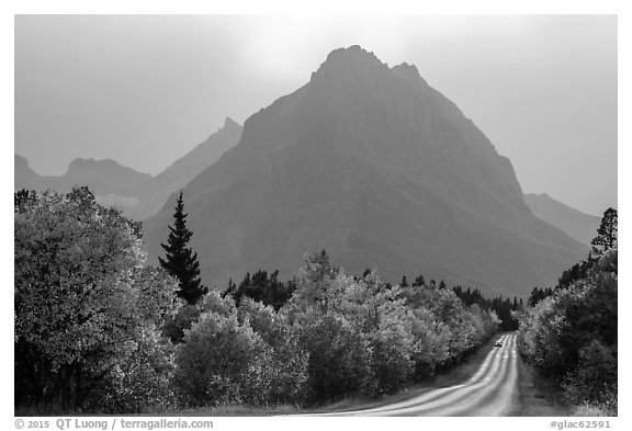 Road, forest in autum foliage, and park, Many Glacier. Glacier National Park (black and white)