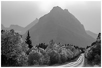 Road, forest in autum foliage, and park, Many Glacier. Glacier National Park ( black and white)