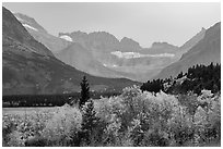 Forest in autum foliage and Garden Wall, Many Glacier. Glacier National Park ( black and white)