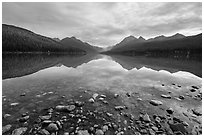 Bowman Lake. Glacier National Park ( black and white)