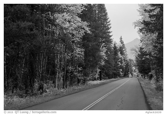 Road in autum near West Glacier. Glacier National Park (black and white)