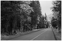 Road in autum near West Glacier. Glacier National Park ( black and white)