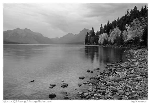 Lake McDonald shores in autum. Glacier National Park (black and white)