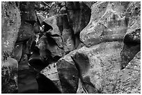 Sculptured rocks, Avalanche Creek. Glacier National Park ( black and white)