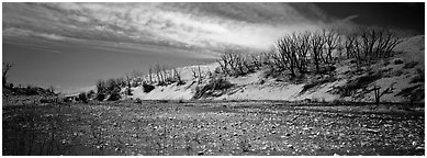 Dry wash and dunes. Great Sand Dunes National Park (Panoramic black and white)